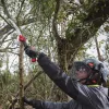 Összecsukható gallyazó fűrész 4932498624